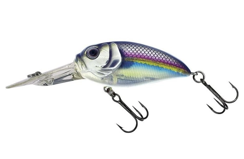 Amostra sculpo DR SCDRR-219 ALBURNO