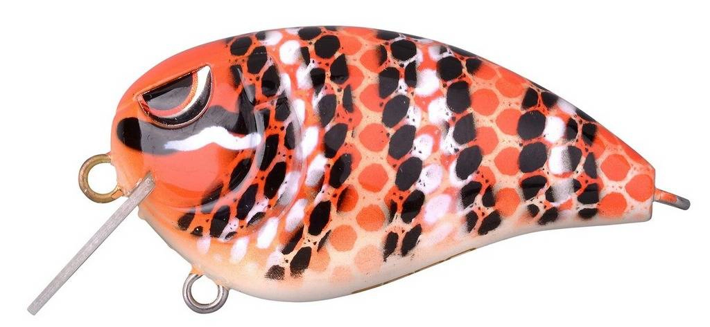 Amostra baby fat jonh 50 Milk Snake 4867-305