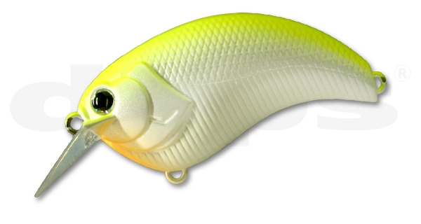 Deps Evoke - 04 Chart Back