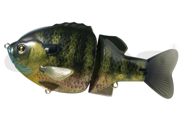 Bullshooter 160 SS Real Blue Gill - 01