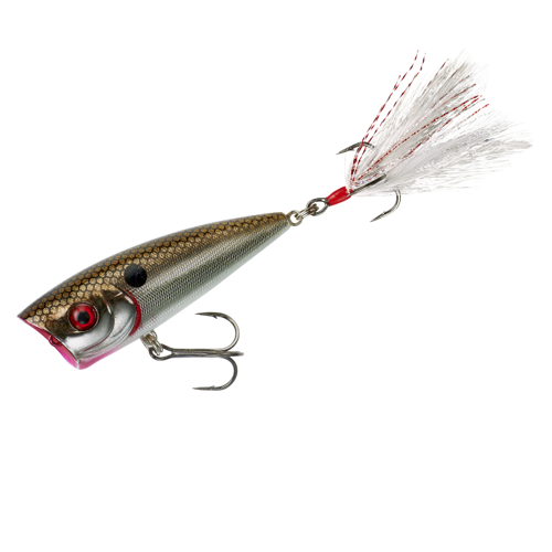 Booyah Boss Pop - Arkansas Shiner