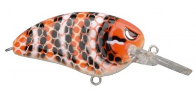 Amostra little jonh MD50 Milk Snake 4867-605