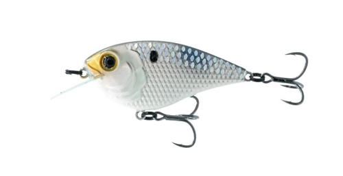 6th Sense Flat Finesse F4 - Shad Scales