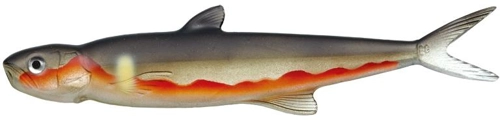 Evergreen Last Ace 168 Ochiayu 78