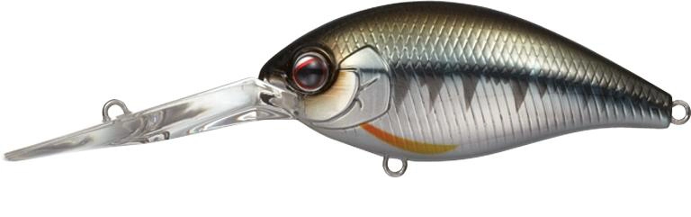 Evergreen Combat Crank 480 - 601 Ketabass