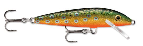 Amostra F05 Brook Trout