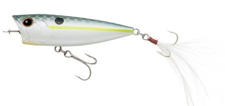 Evergreen One´s Bug 289 - Queen Shad