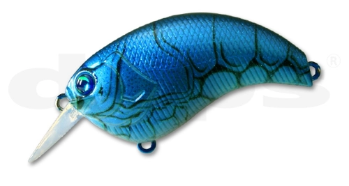 Deps Evoke - 13 Florida Blue