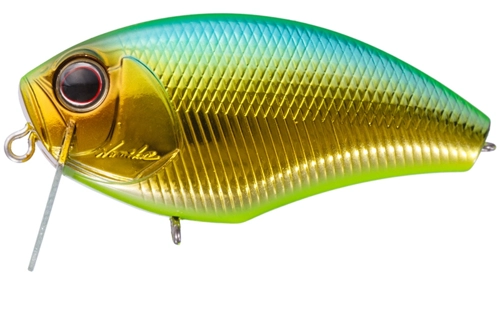 Daibuzzn Heavy Hitter MG-35 Chart Gold