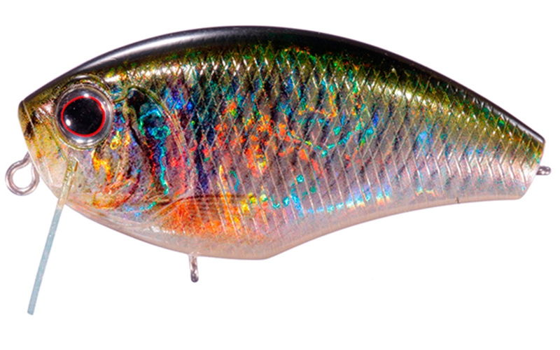 Daibuzzn Heavy Hitter RPO-02 Real Bitterling