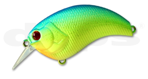 Deps Evoke - 14 Biwako Chart