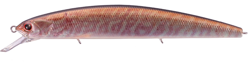 Jerkbait OSP Rudra - RPO25 Real Baby Pike