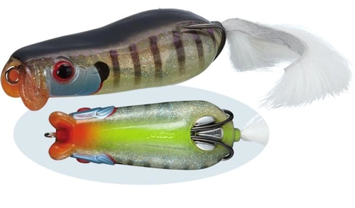 Evergreen Showerblows Softshell - 281 Secret Gil