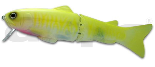 Amostra silent killer 250 Chart Oikawa 03