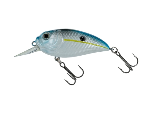 Amostra sculpo MR SCMRR-71 Charming Shad