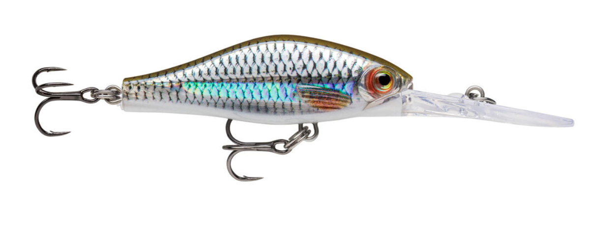 Amostra SDRJD05 ROL live roach