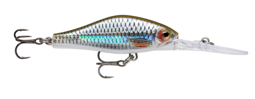 Amostra SDRJD05 ROL live roach