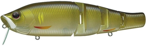 Evergreen Royal Flash Jr. 027 - Ayu