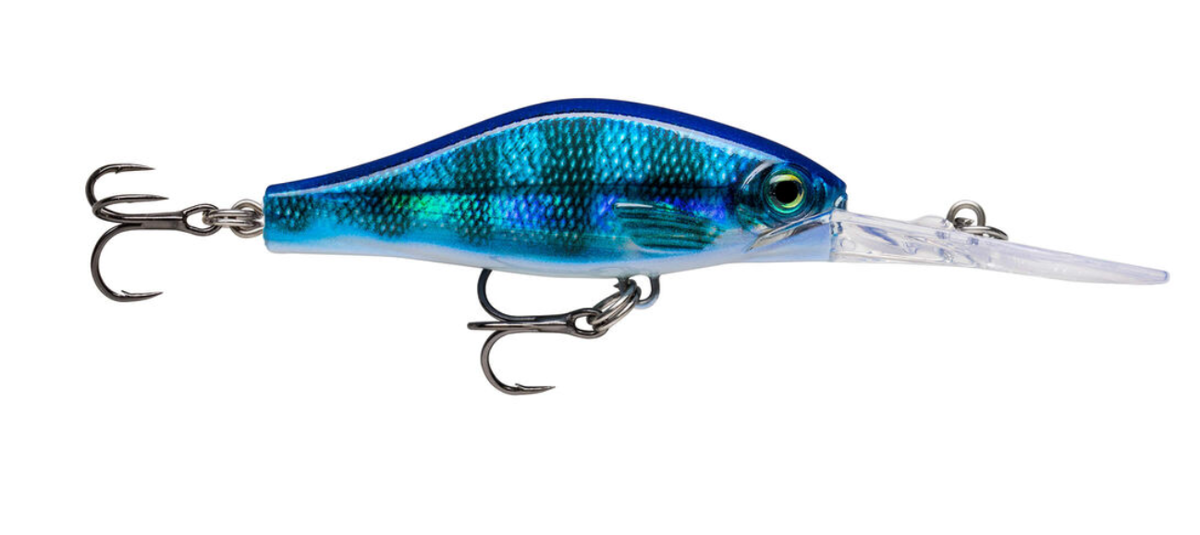 Amostra SDRJD05 BPE blue perch