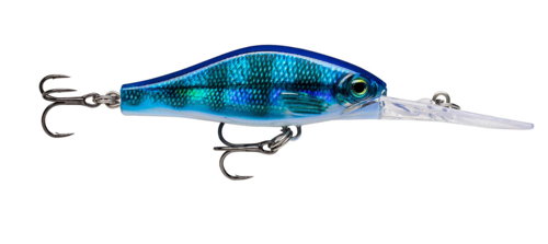 Amostra SDRJD05 BPE blue perch
