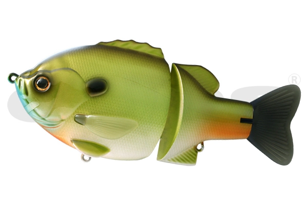 Bullshooter 160 SS Garanashi - 07