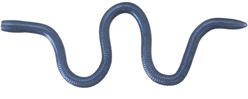 MMZ - W 032 Smoke Pro Blue