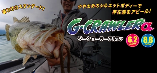 grilo-pesca-65980de0b5bbc-2.jpg