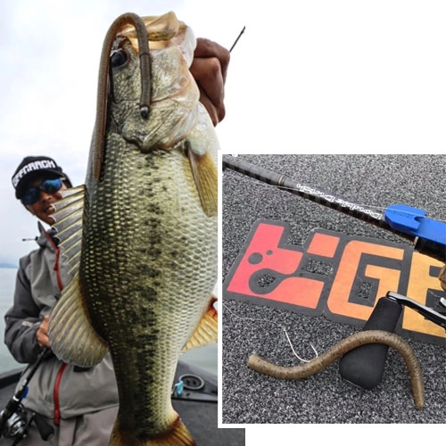 grilo-pesca-65980eadecdf9.jpg