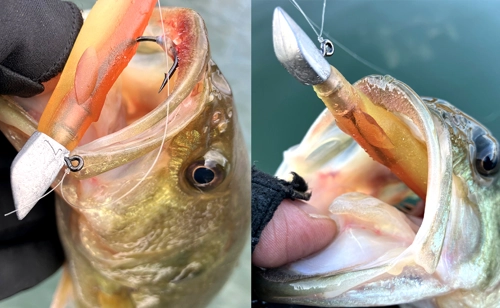grilo-pesca-dd0517a09f333e4fc23bf935ea08b2d1.jpg