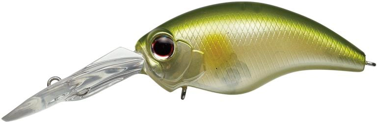 Evergreen Wild Hunch 8 - 027 Ayu