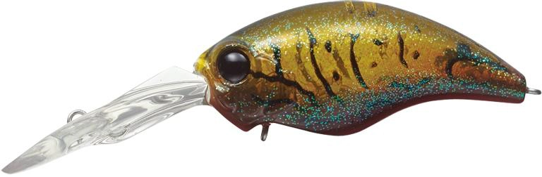 Evergreen Wild Hunch 8 - 216 Olive Crawdad