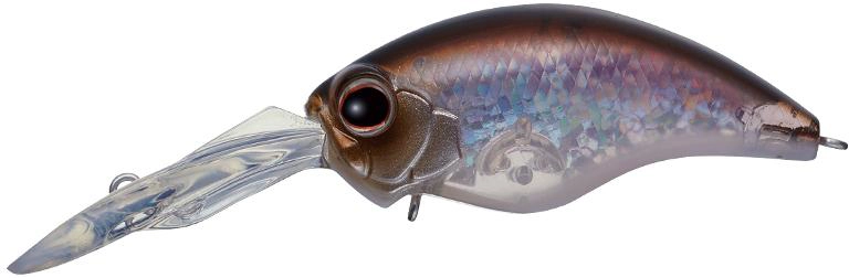 Evergreen Wild Hunch 8 - 383 Neon Wakasagi