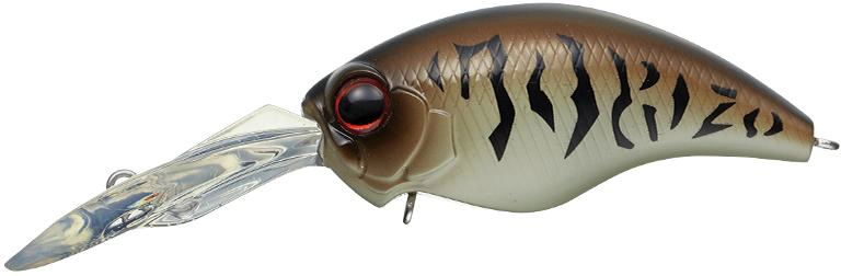 Evergreen Wild Hunch 8 - 384 Muddy Bull