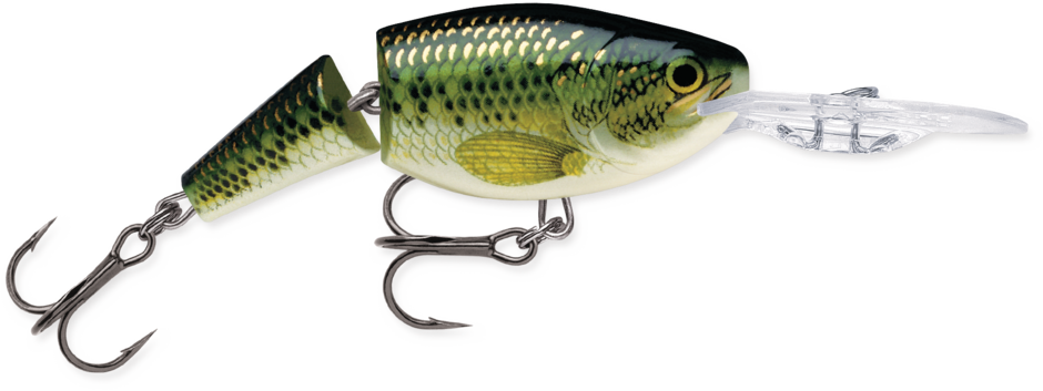 Rapala Jointed Shad Rap - Baby Bass (BB)
