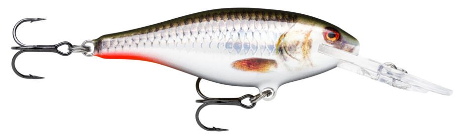 Rapala Shad Rap - Live Hologram Roach (ROHL)