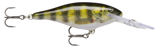 Rapala Shad Rap - Live Perch (PEL)