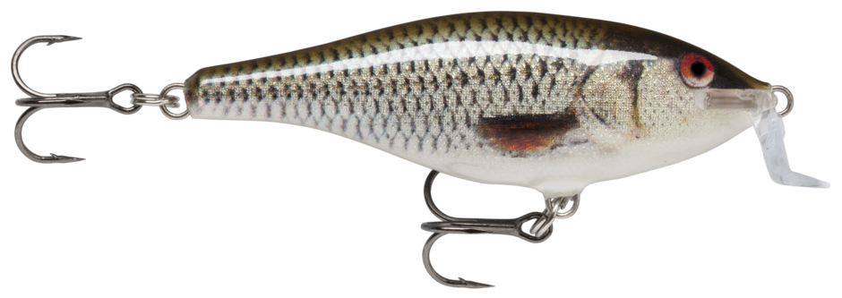 Rapala Shallow Shad Rap -  Live Roach (ROL)