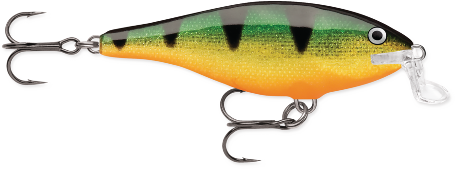 Rapala Shallow Shad Rap - Perch (P)