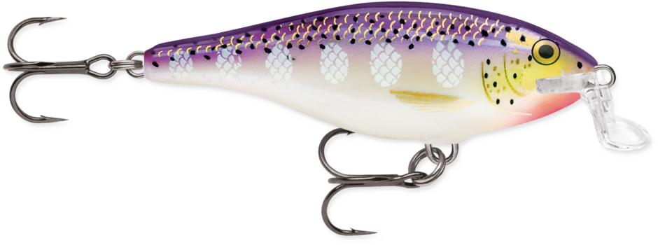 Rapala Shallow Shad Rap - Purpledescent (PD)