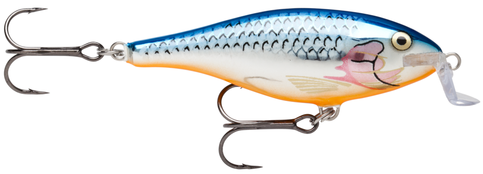 Rapala Shallow Shad Rap - Silver Blue (SB)