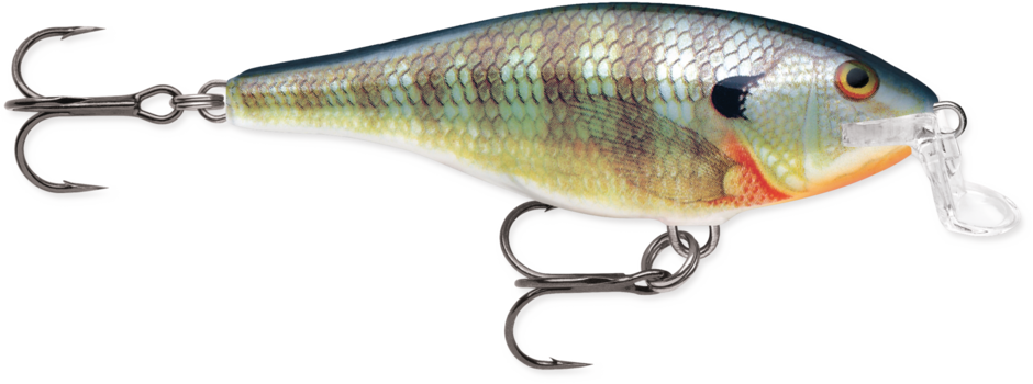 Rapala Shallow Shad Rap - Blue Gill (BG)