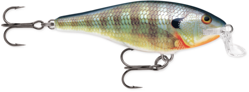 Rapala Shallow Shad Rap - Blue Gill (BG)